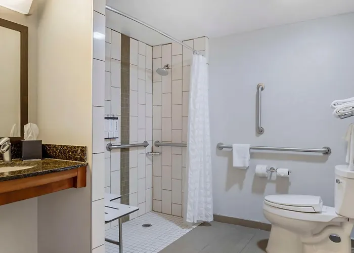 King Room Disability Access